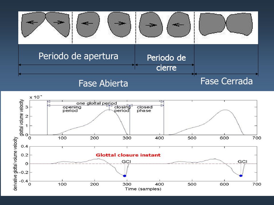 Periodo de apertura Periodo de cierre Fase Cerrada Fase Abierta
