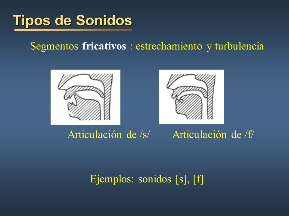 Tipos de Sonidos Segmentos fricativos : estrechamiento y turbulencia