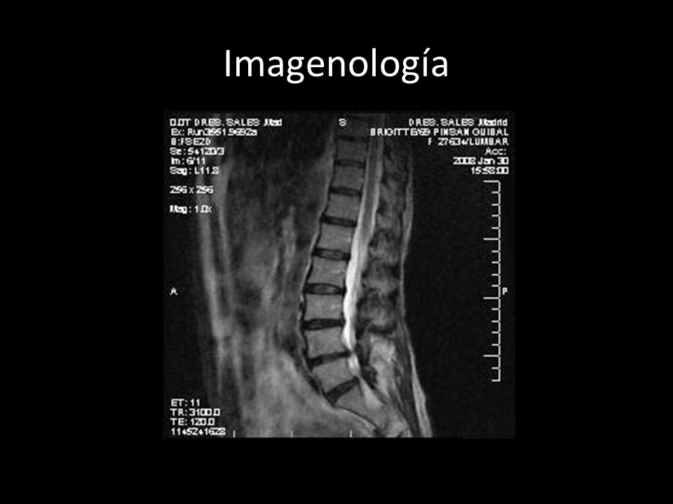 Imagenología