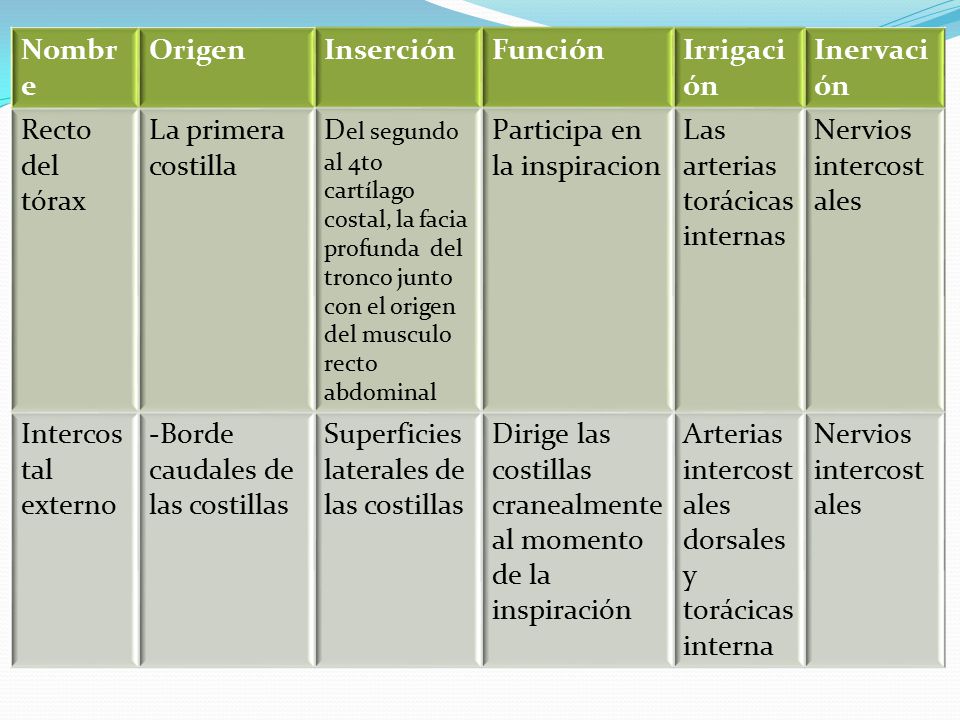 Nombre Origen. Inserción. Función. Irrigación. Inervación. Recto del tórax. La primera costilla.