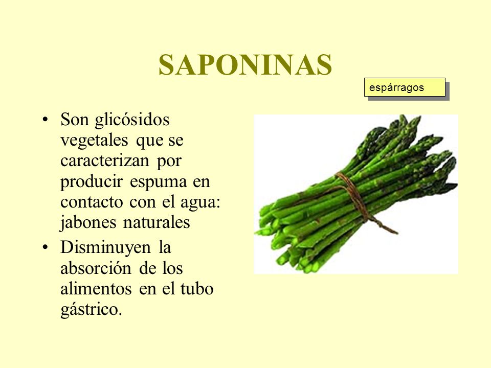 SAPONINAS espárragos. Son glicósidos vegetales que se caracterizan por producir espuma en contacto con el agua: jabones naturales.