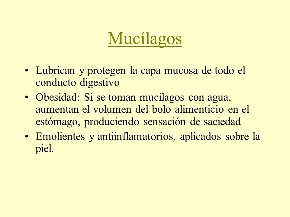 Mucílagos Lubrican y protegen la capa mucosa de todo el conducto digestivo.