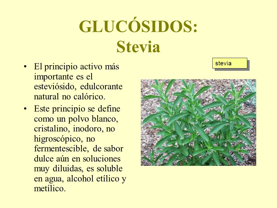 GLUCÓSIDOS: Stevia stevia. El principio activo más importante es el esteviósido, edulcorante natural no calórico.