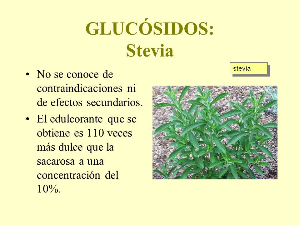 GLUCÓSIDOS: Stevia stevia. No se conoce de contraindicaciones ni de efectos secundarios.