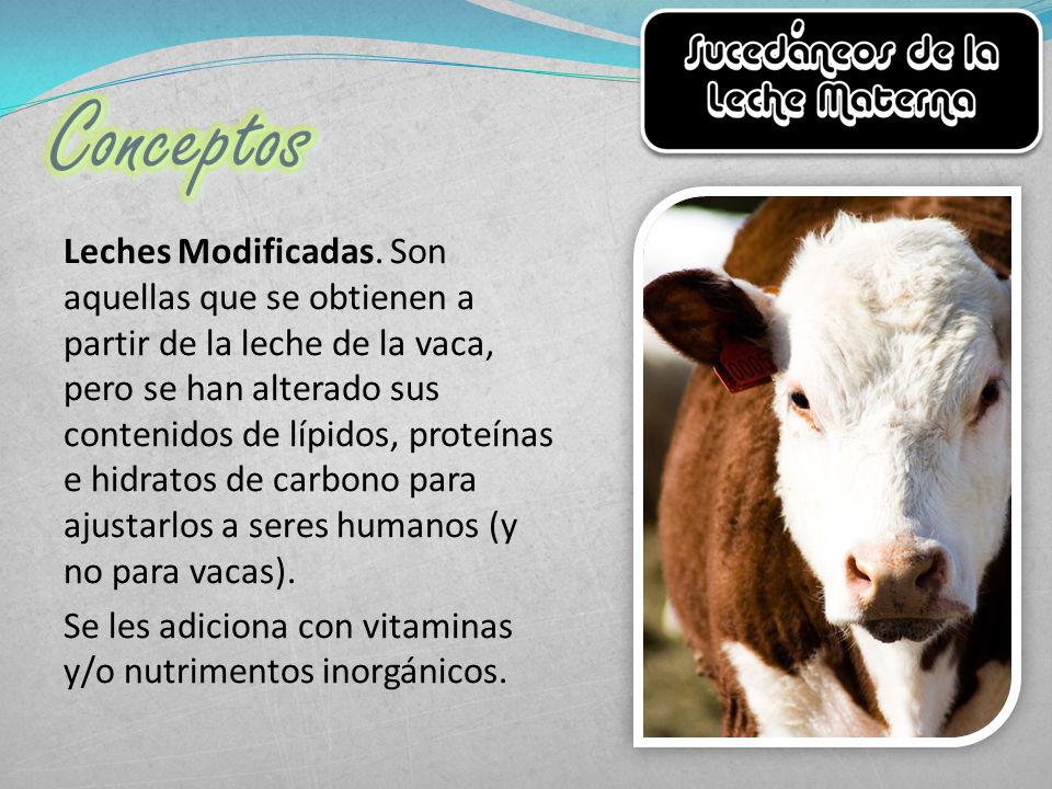 Leches Modificadas.