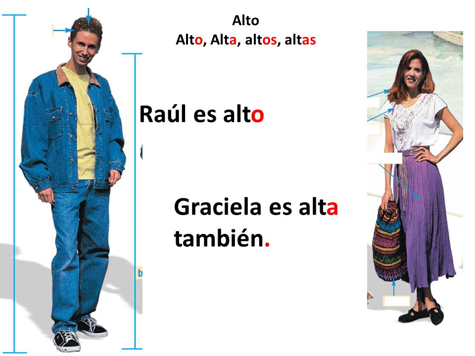 Alto Alto, Alta, altos, altas Raúl es alto Graciela es alta también.