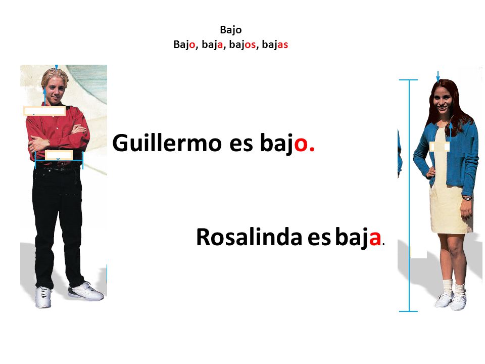 Bajo Bajo, baja, bajos, bajas Guillermo es bajo. Rosalinda es baja.