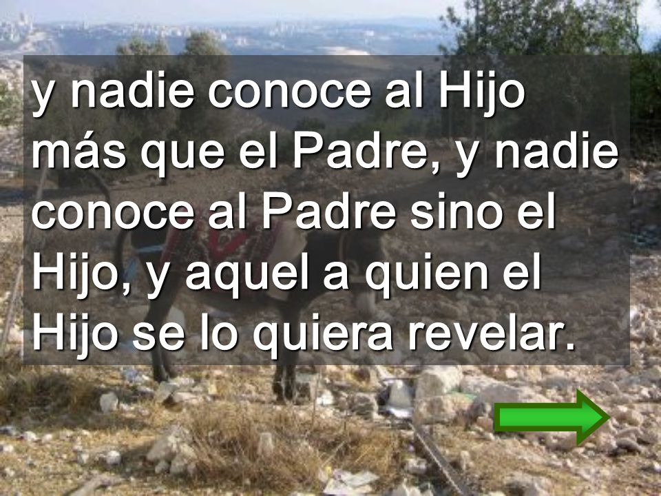 y nadie conoce al Hijo más que el Padre, y nadie conoce al Padre sino el Hijo, y aquel a quien el Hijo se lo quiera revelar.