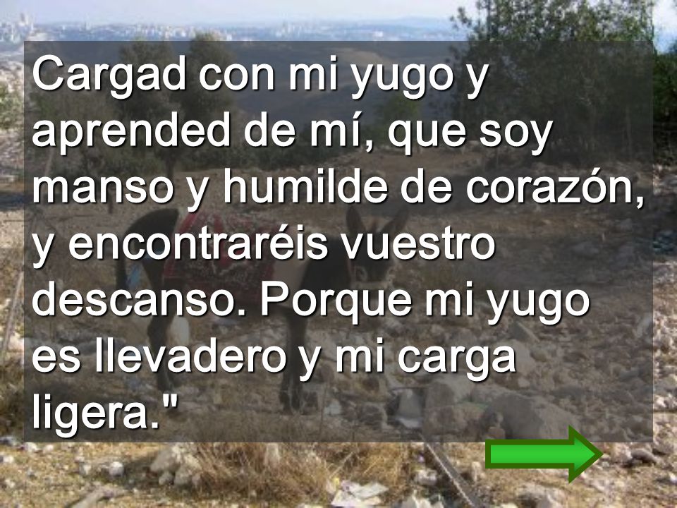 Cargad con mi yugo y aprended de mí, que soy manso y humilde de corazón, y encontraréis vuestro descanso.