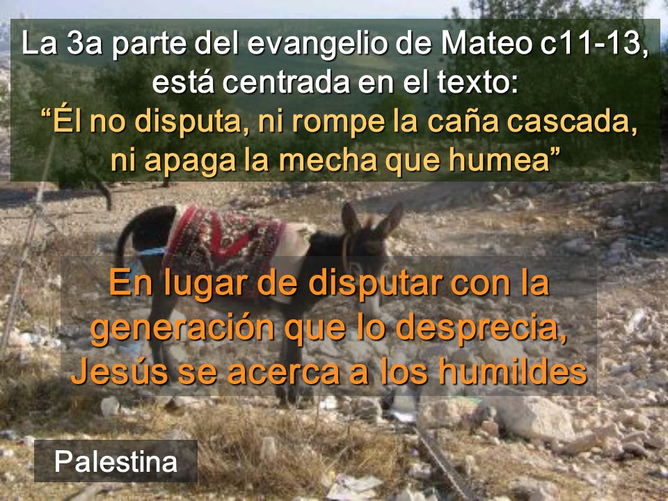 La 3a parte del evangelio de Mateo c11-13, está centrada en el texto: Él no disputa, ni rompe la caña cascada, ni apaga la mecha que humea