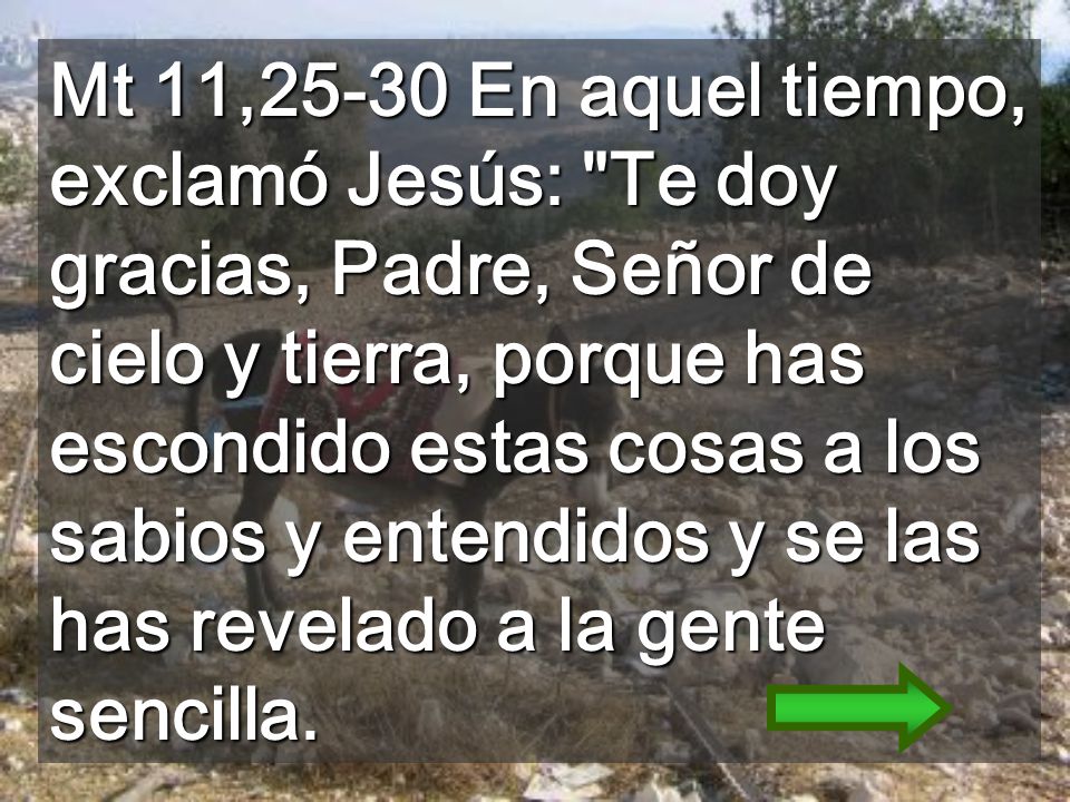 Mt 11,25-30 En aquel tiempo, exclamó Jesús: Te doy gracias, Padre, Señor de cielo y tierra, porque has escondido estas cosas a los sabios y entendidos y se las has revelado a la gente sencilla.