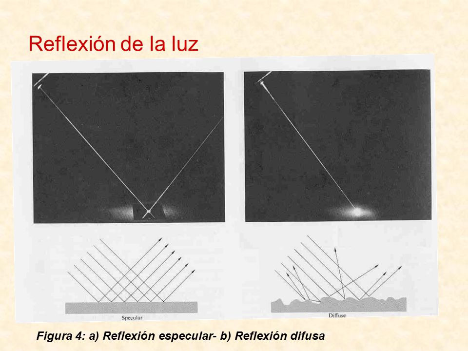 Reflexión de la luz MT mostrar brevemente esto en papel de alumnio y/ o en una bandeja plateda.