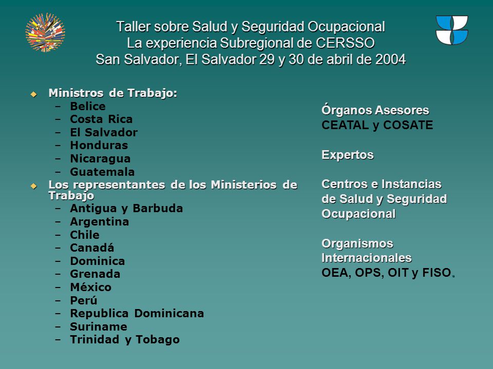 Taller sobre Salud y Seguridad Ocupacional La experiencia Subregional de CERSSO San Salvador, El Salvador 29 y 30 de abril de 2004