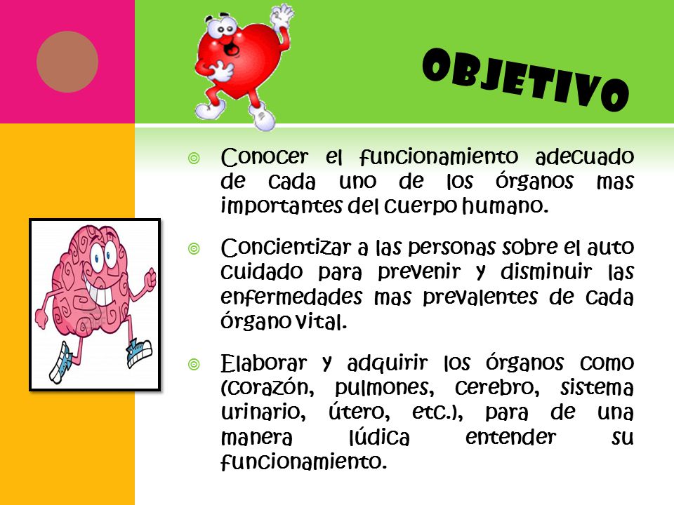 OBJETIVO Conocer el funcionamiento adecuado de cada uno de los órganos mas importantes del cuerpo humano.