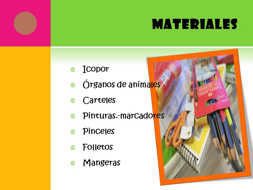 materiales Icopor Órganos de animales Carteles Pinturas.-marcadores