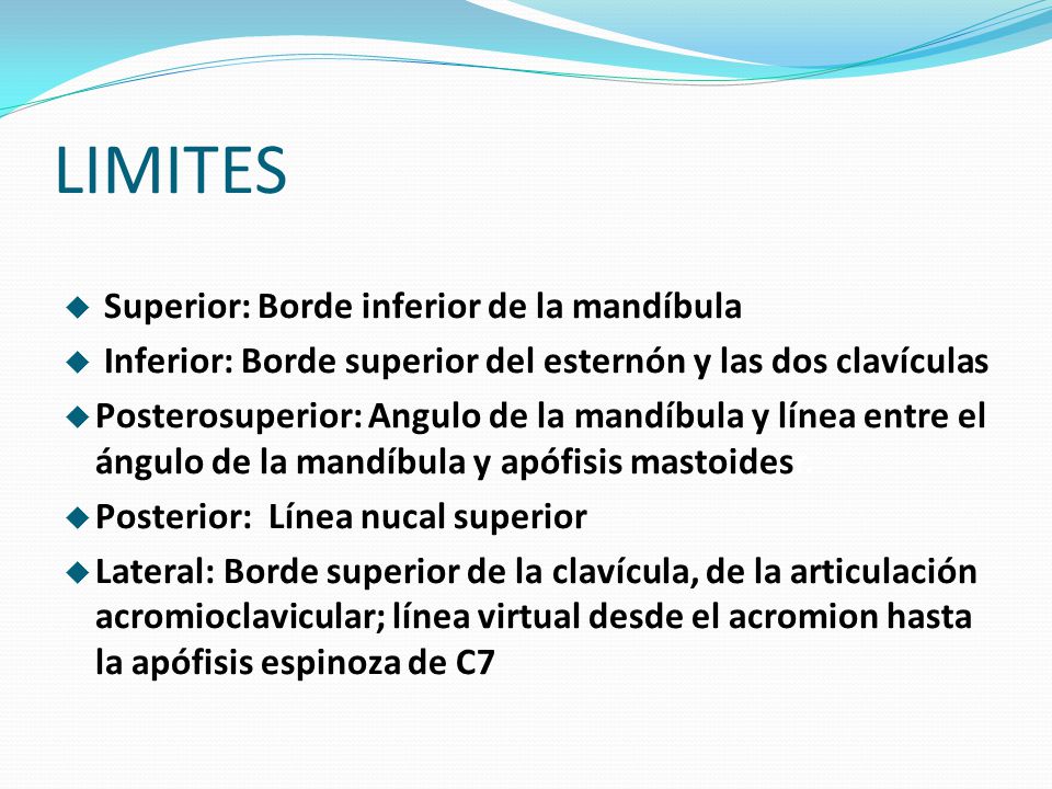LIMITES Superior: Borde inferior de la mandíbula