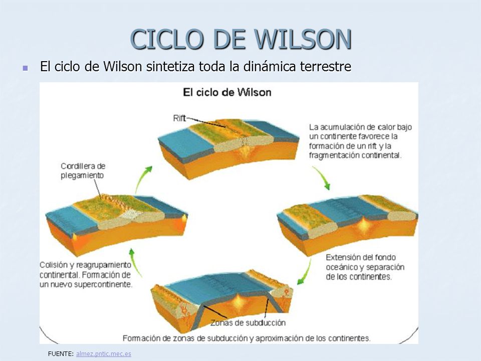 CICLO DE WILSON El ciclo de Wilson sintetiza toda la dinámica terrestre FUENTE: almez.pntic.mec.es