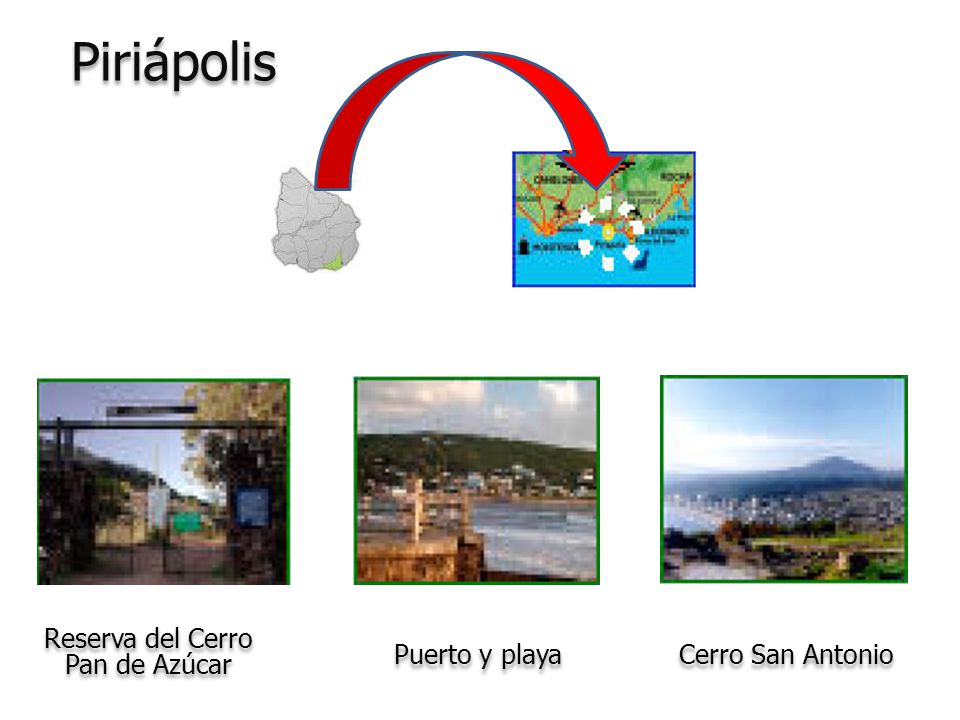 Piriápolis Reserva del Cerro Pan de Azúcar Puerto y playa
