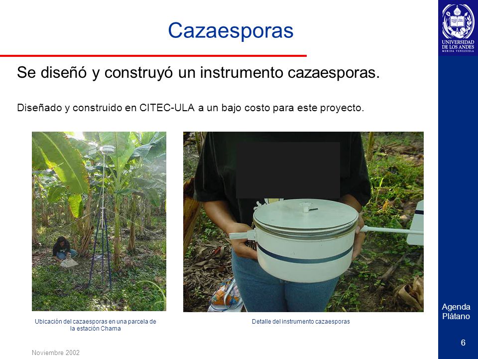 Ubicación del cazaesporas en una parcela de la estación Chama