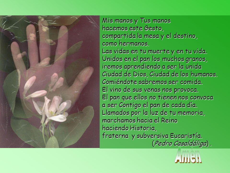 Mis manos y Tus manos hacemos este Gesto, compartida la mesa y el destino, como hermanos. Las vidas en tu muerte y en tu vida. Unidos en el pan los muchos granos, iremos aprendiendo a ser la unida Ciudad de Dios, Ciudad de los humanos. Comiéndote sabremos ser comida. El vino de sus venas nos provoca. El pan que ellos no tienen nos convoca a ser Contigo el pan de cada día. Llamados por la luz de tu memoria, marchamos hacia el Reino haciendo Historia, fraterna y subversiva Eucaristía. (Pedro Casaldáliga) .