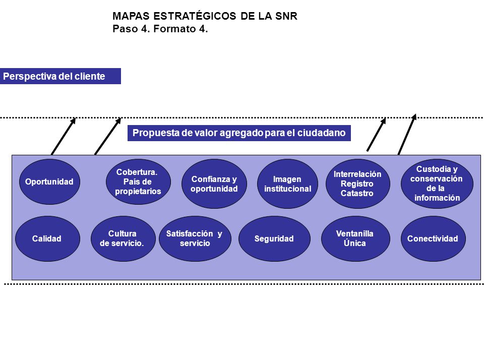 MAPAS ESTRATÉGICOS DE LA SNR Paso 4. Formato 4.