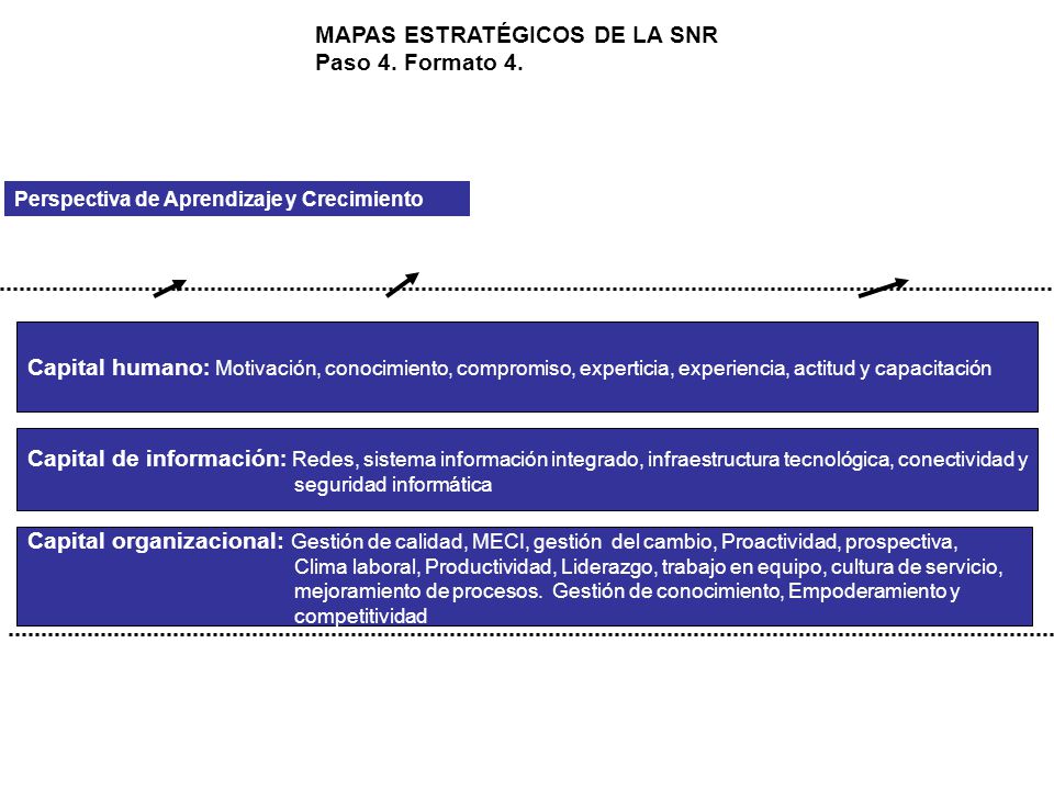 MAPAS ESTRATÉGICOS DE LA SNR Paso 4. Formato 4.