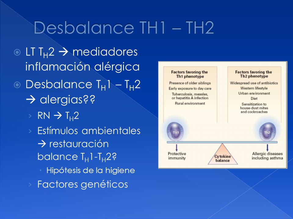 Desbalance TH1 – TH2 LT TH2  mediadores inflamación alérgica