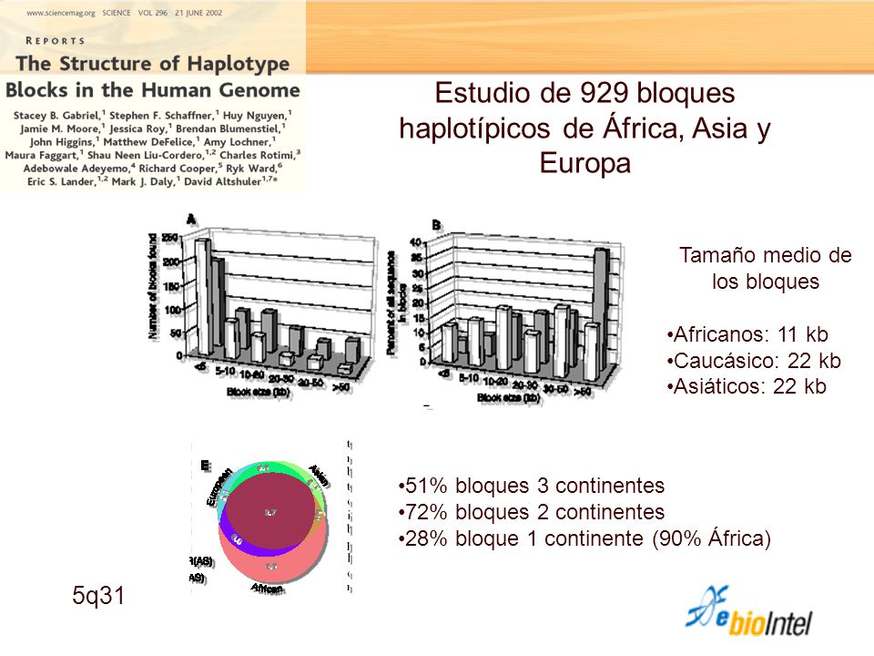 Estudio de 929 bloques haplotípicos de África, Asia y Europa