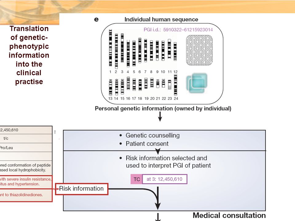 Translation of genetic-phenotypic information into the clinical practise