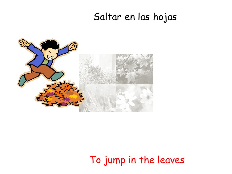 Saltar en las hojas To jump in the leaves 27