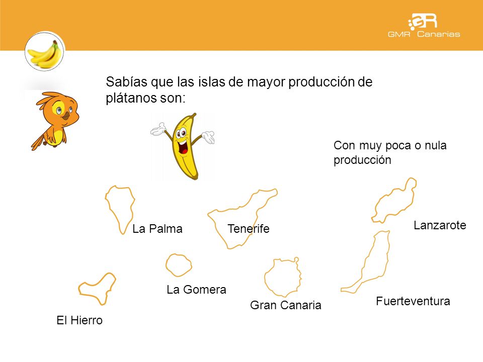 Sabías que las islas de mayor producción de plátanos son: