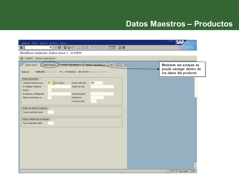 Datos Maestros – Productos