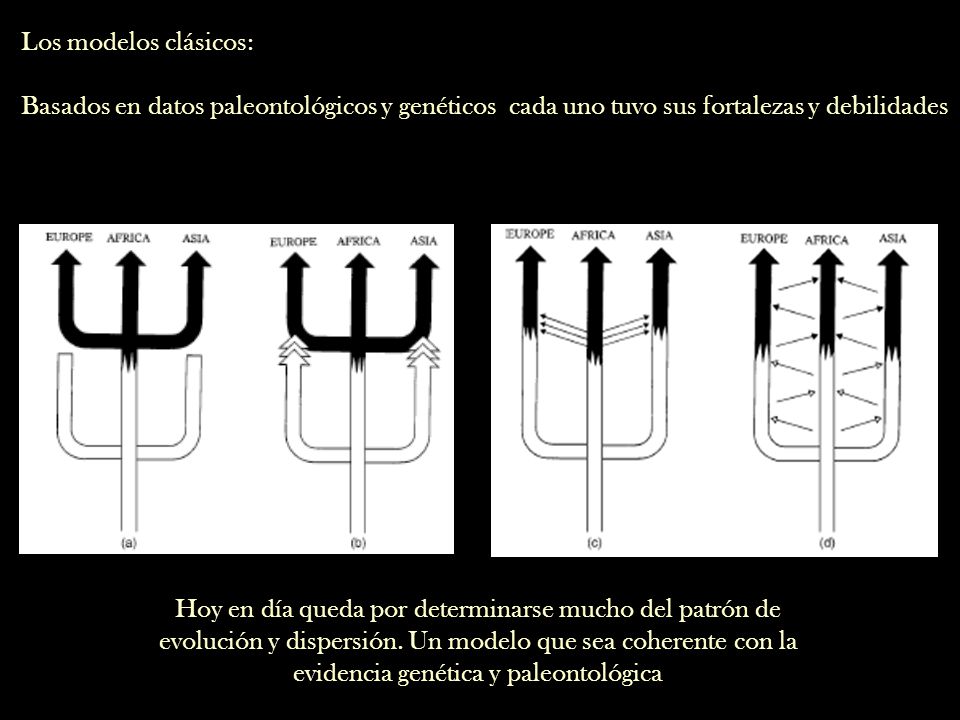 Los modelos clásicos: Basados en datos paleontológicos y genéticos cada uno tuvo sus fortalezas y debilidades.