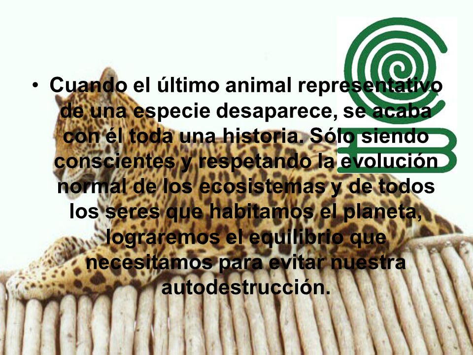 Cuando el último animal representativo de una especie desaparece, se acaba con él toda una historia.