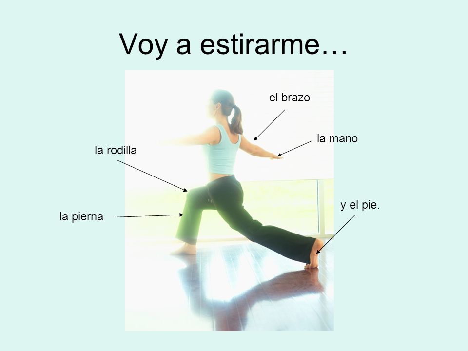 Voy a estirarme… el brazo la mano la rodilla y el pie. la pierna