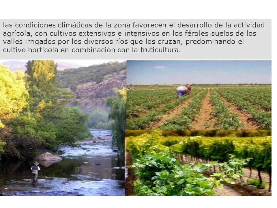 las condiciones climáticas de la zona favorecen el desarrollo de la actividad agrícola, con cultivos extensivos e intensivos en los fértiles suelos de los valles irrigados por los diversos ríos que los cruzan, predominando el cultivo hortícola en combinación con la fruticultura.