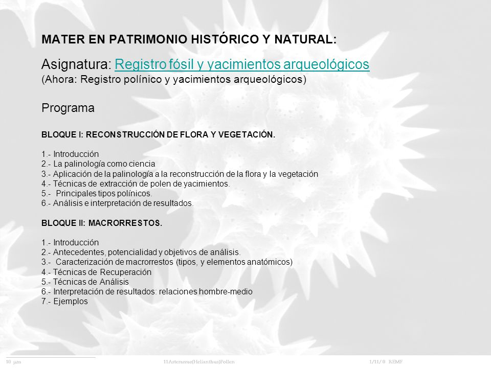 MATER EN PATRIMONIO HISTÓRICO Y NATURAL: Asignatura: Registro fósil y yacimientos arqueológicos (Ahora: Registro polínico y yacimientos arqueológicos) Programa BLOQUE I: RECONSTRUCCIÓN DE FLORA Y VEGETACIÓN.