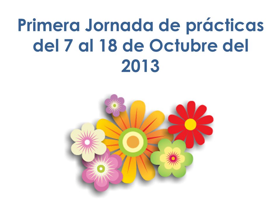 Primera Jornada de prácticas del 7 al 18 de Octubre del 2013