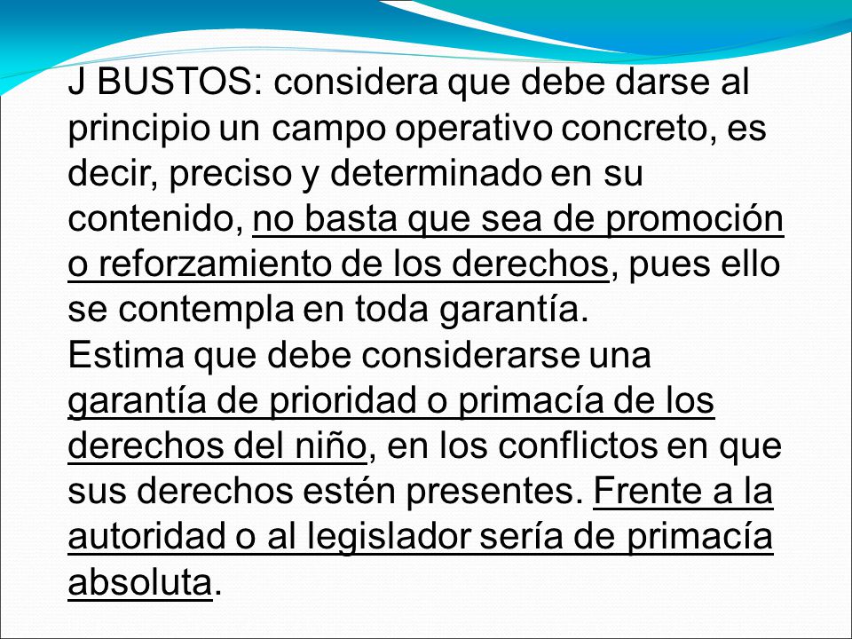 J BUSTOS: considera que debe darse al principio un campo operativo concreto, es decir, preciso y determinado en su contenido, no basta que sea de promoción o reforzamiento de los derechos, pues ello se contempla en toda garantía.