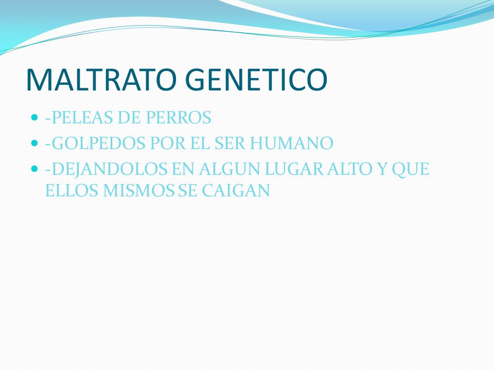 MALTRATO GENETICO -PELEAS DE PERROS -GOLPEDOS POR EL SER HUMANO