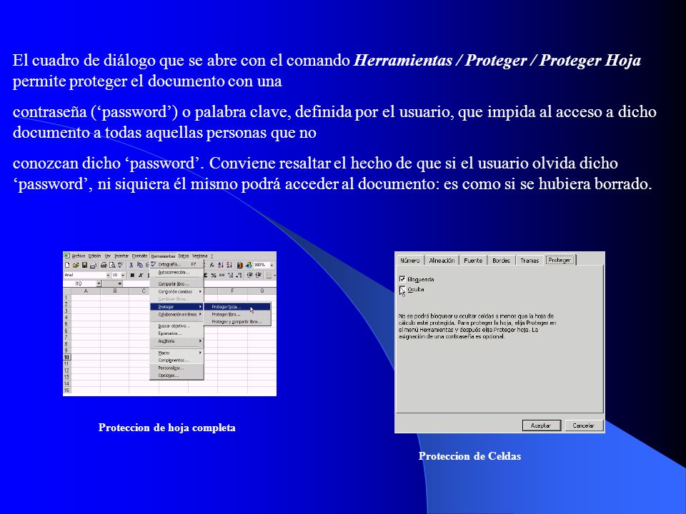 El cuadro de diálogo que se abre con el comando Herramientas / Proteger / Proteger Hoja permite proteger el documento con una