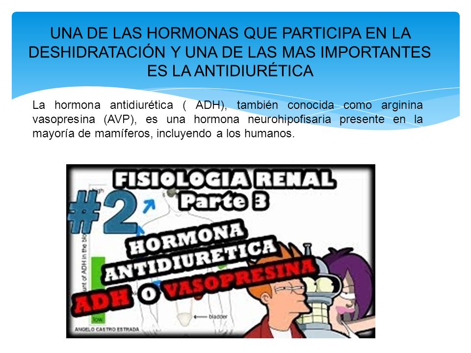 UNA DE LAS HORMONAS QUE PARTICIPA EN LA DESHIDRATACIÓN Y UNA DE LAS MAS IMPORTANTES ES LA ANTIDIURÉTICA