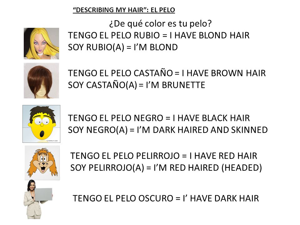 TENGO EL PELO RUBIO = I HAVE BLOND HAIR SOY RUBIO(A) = I’M BLOND