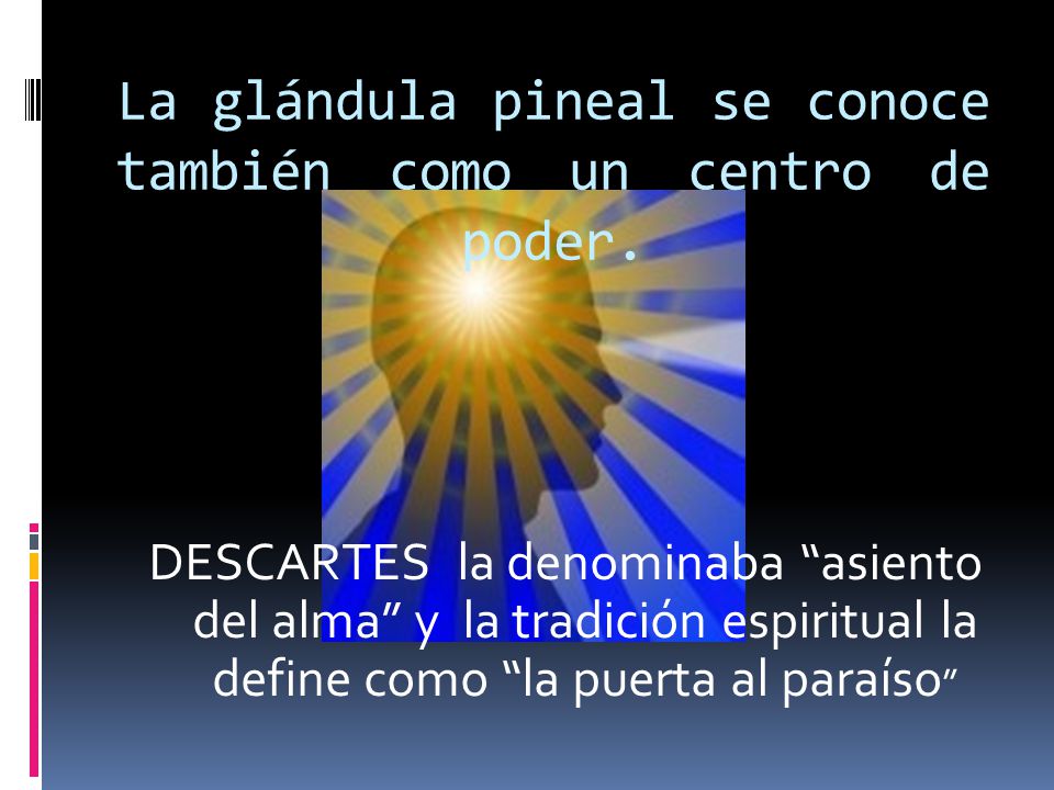 La glándula pineal se conoce también como un centro de poder.