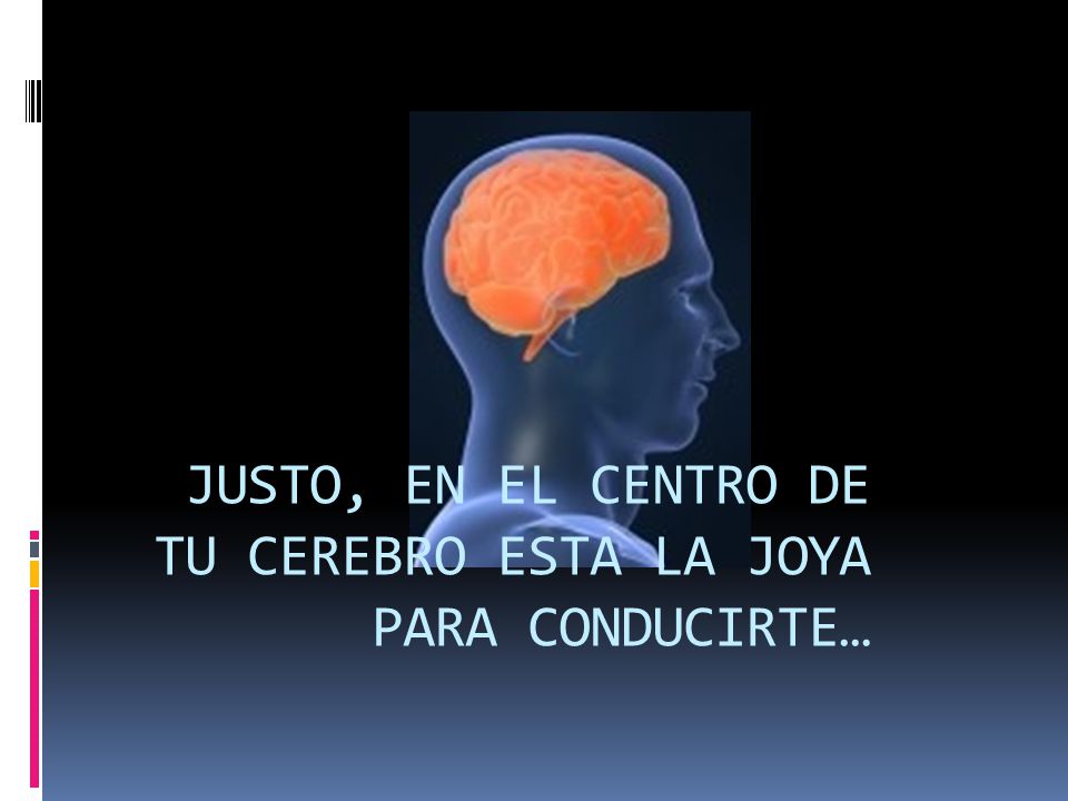 JUSTO, EN EL CENTRO DE TU CEREBRO ESTA LA JOYA PARA CONDUCIRTE…