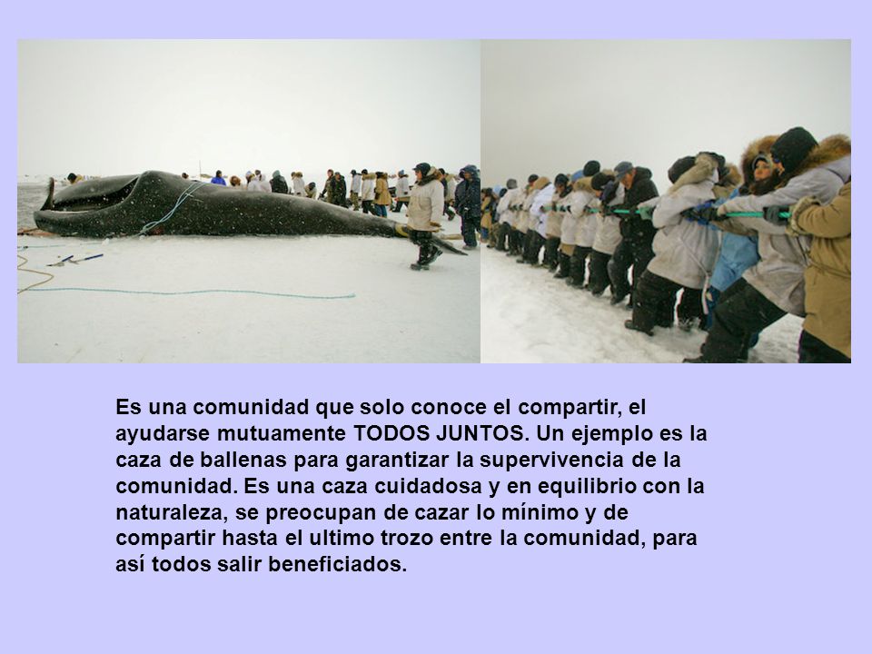 Es una comunidad que solo conoce el compartir, el ayudarse mutuamente TODOS JUNTOS.