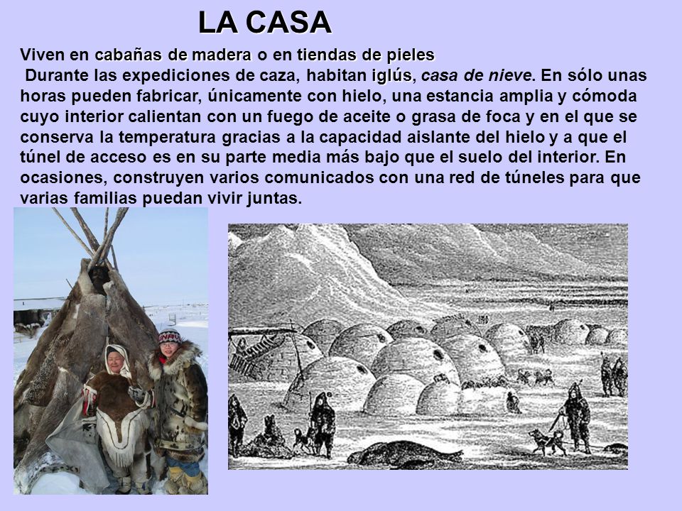 LA CASA Viven en cabañas de madera o en tiendas de pieles