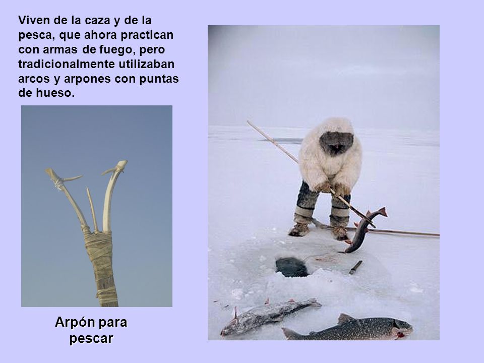 Viven de la caza y de la pesca, que ahora practican con armas de fuego, pero tradicionalmente utilizaban arcos y arpones con puntas de hueso.