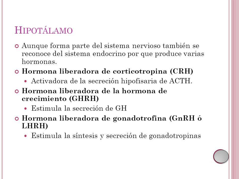 Hipotálamo Aunque forma parte del sistema nervioso también se reconoce del sistema endocrino por que produce varias hormonas.