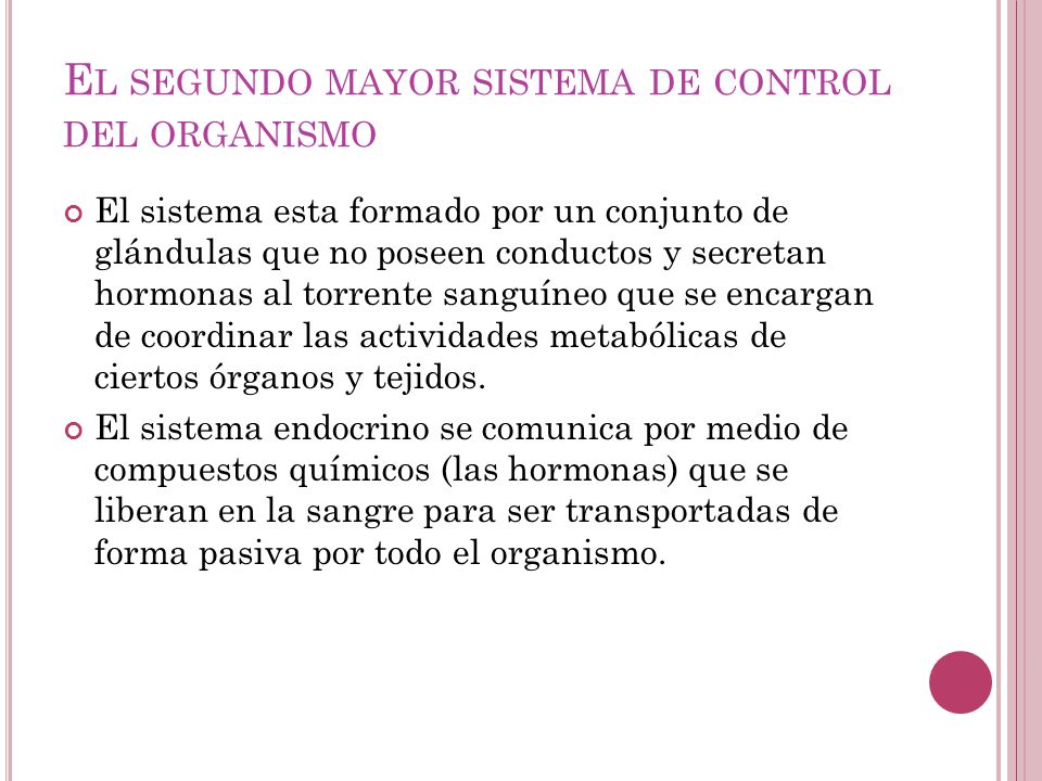 El segundo mayor sistema de control del organismo